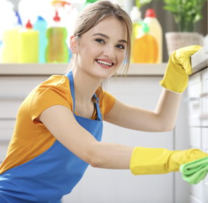 minneapolis cleaning service